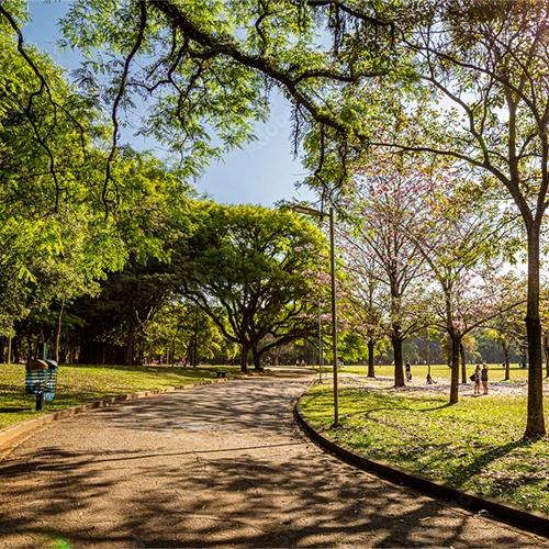 Parque Ibirapuera
